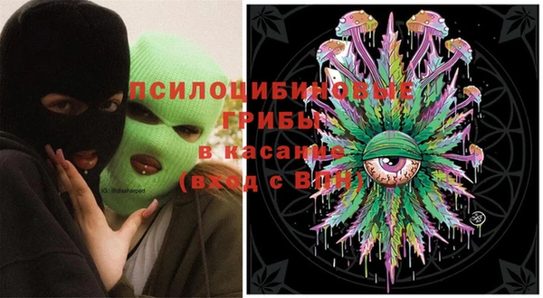 тгк Богданович