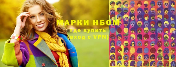 крисы Богородицк