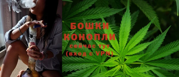 крисы Богородицк