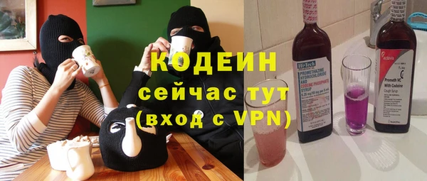 крисы Богородицк