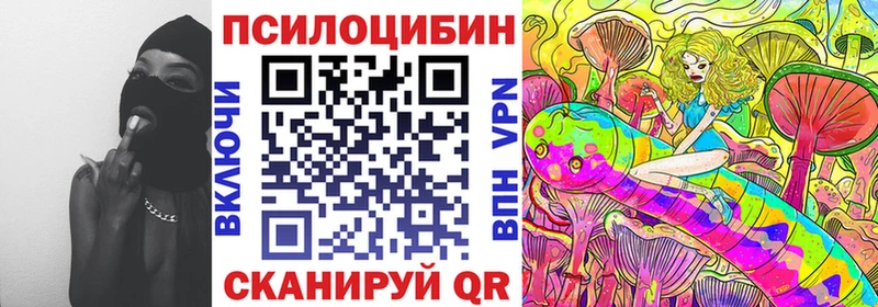 Псилоцибиновые грибы GOLDEN TEACHER  mega онион  Камбарка  купить  сайты 
